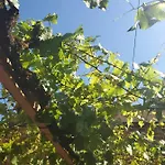 A La Croisee Des Louvieres - Sur Oger Le Mesnil-sur-Oger