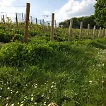 A La Croisee Des Louvieres - Sur Oger Le Mesnil-sur-Oger