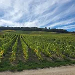 A La Croisee Des Louvieres - Sur Oger Le Mesnil-sur-Oger