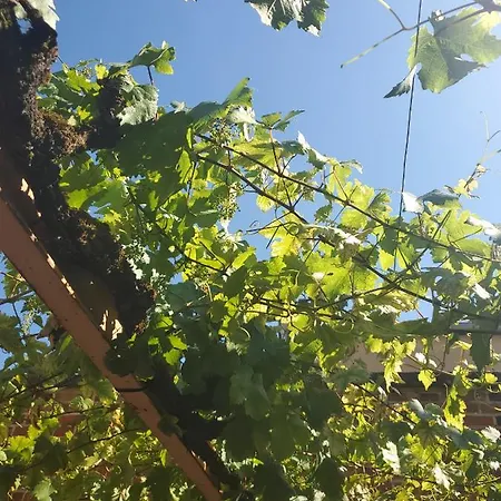 à La Croisée Des Louvières - Sur Oger Le Mesnil-sur-Oger