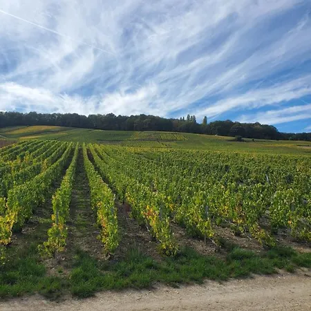A La Croisee Des Louvieres - Sur Oger Le Mesnil-sur-Oger