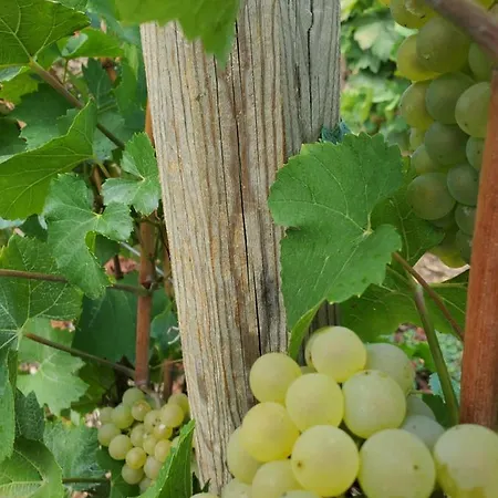 à La Croisée Des Louvières - Sur Oger