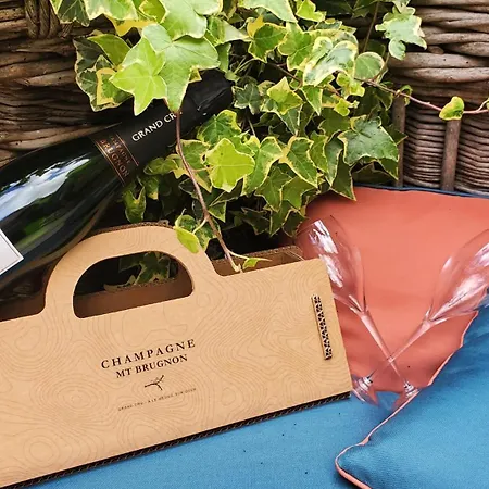 à La Croisée Des Louvières - Sur Oger Casa vacanze Le Mesnil-sur-Oger