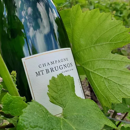 à La Croisée Des Louvières - Sur Oger * Le Mesnil-sur-Oger