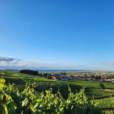 à La Croisée Des Louvières - Sur Oger *
