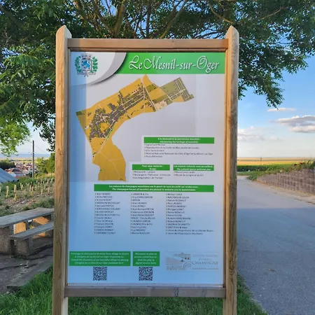 A La Croisee Des Louvieres - Sur Oger בית נופש Le Mesnil-sur-Oger